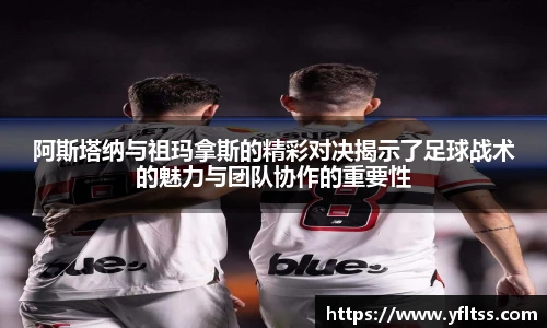 zoty中欧官方网站