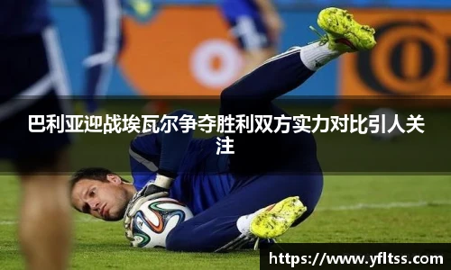 zoty中欧官方网站